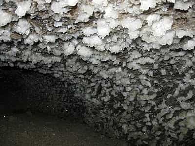 Пещера Мушкарова яма является уникальным закрытым объектом, в котором регулярно проводятся всевозможные исследования и организовываются экспедиции. Ее «молодой» возраст позволяет более наглядно и точно узнать историю происхождения аналогичных подземелий и