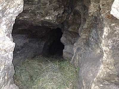 Пещера Мушкарова яма находится в 2 километрах на север от Вертеби, Борщевском районе, Тернопольской области, одноименном населенном пункте.