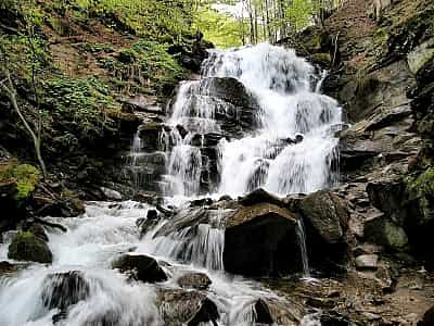 Shypot waterfall impresses with its majesty, power, mountain freshness, indescribable natural beauty. Next to it is the picturesque Synevyr Lake and a number of other interesting locations in Transcarpathia, including a shelter for brown bears ..