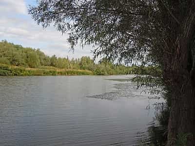 Cahul is a floodplain lake in the lower Danube, in the Odessa region.