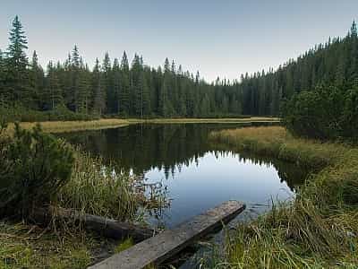Maricheika is a high-altitude lake in the Verkhovyna district.