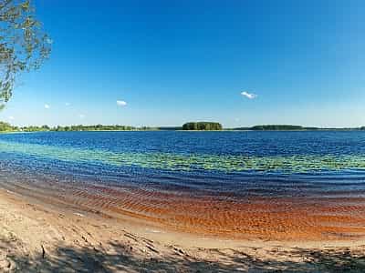 Nobel is a freshwater lake in the Zarichne district of Rivne region.