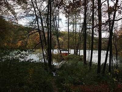 Шелеховское – самое древнее озеро Украины.