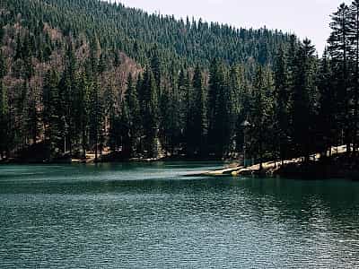 Синевир является самым большим и глубоким высокогорным озером Украины, а также излюбленной туристической аттракцией одноименного национального парка. Водоем находится на высоте 989 метров над уровнем моря.