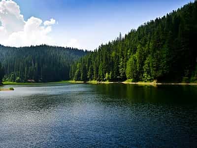 Synevyr is the largest and deepest alpine lake in Ukraine