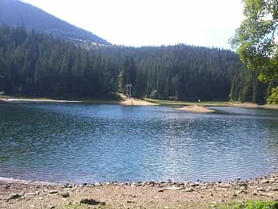 Lake Synevyr is located at an altitude of over 900 meters above sea level. Its maximum depth is 24 meters, average 10 meters.