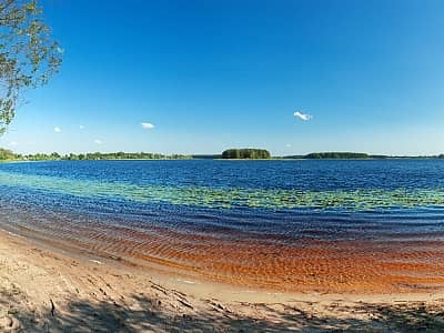 Нобель - прісноводне озеро в Зарічненському районі Рівненської області.