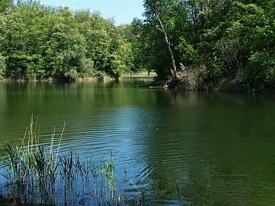 Озеро Ріца - невелике мальовниче озеро біля Халеп'я.