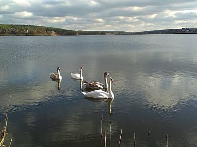 Озера риболовля та відпочинку в селі Забір'я біля Києва.